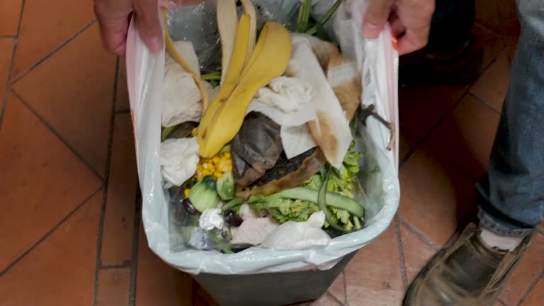 Best Construction Debris Removal  in Constantine, MI